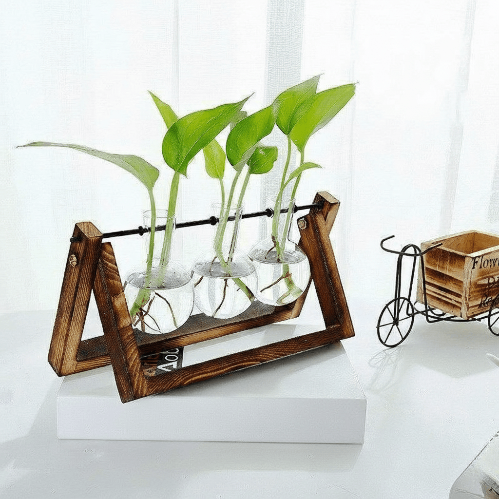 Hom & Ember – Elegant Glass Propagation Vase with Stylish Wooden A - Frame Stand for a Serene Ambiance - Hom & Ember