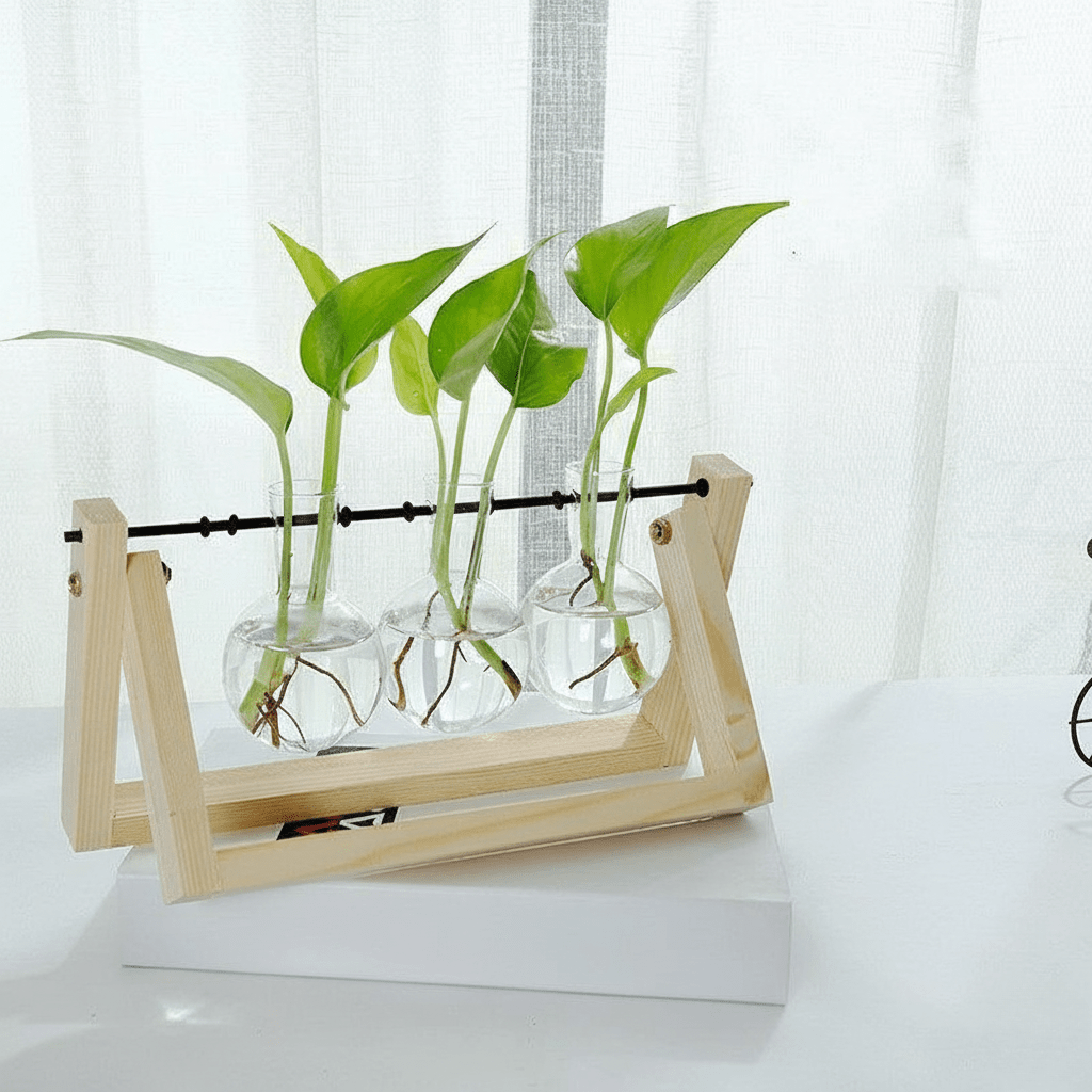 Hom & Ember – Elegant Glass Propagation Vase with Stylish Wooden A - Frame Stand for a Serene Ambiance - Hom & Ember
