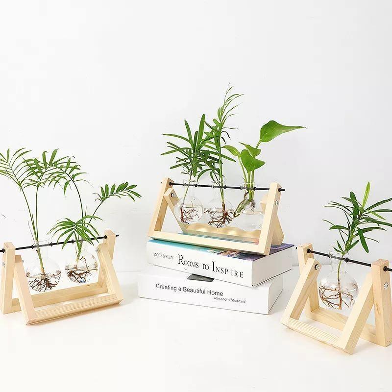 Hom & Ember – Elegant Glass Propagation Vase with Stylish Wooden A - Frame Stand for a Serene Ambiance - Hom & Ember