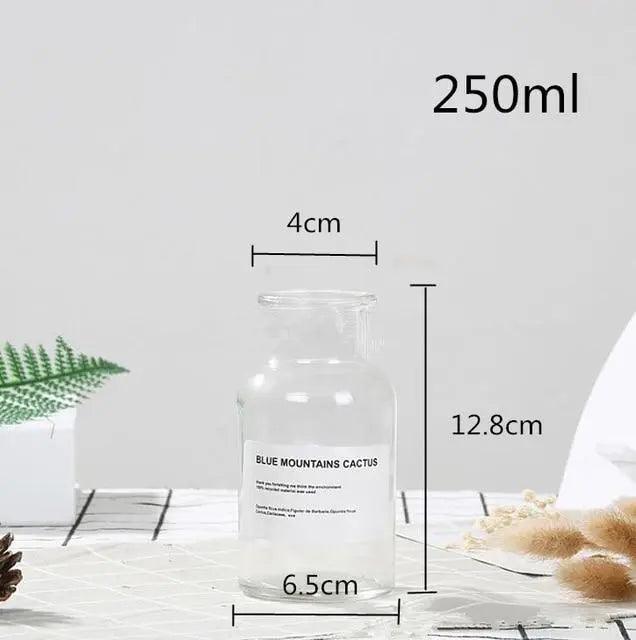 Hom & Ember – Glass Bottle Vase - Hom & Ember
