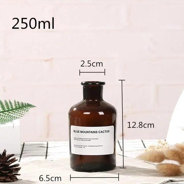 Hom & Ember – Glass Bottle Vase - Hom & Ember