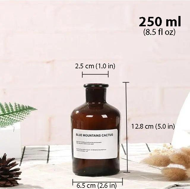 Hom & Ember – Glass Bottle Vase - Hom & Ember