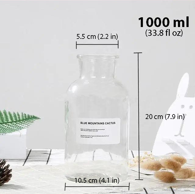 Hom & Ember – Glass Bottle Vase - Hom & Ember