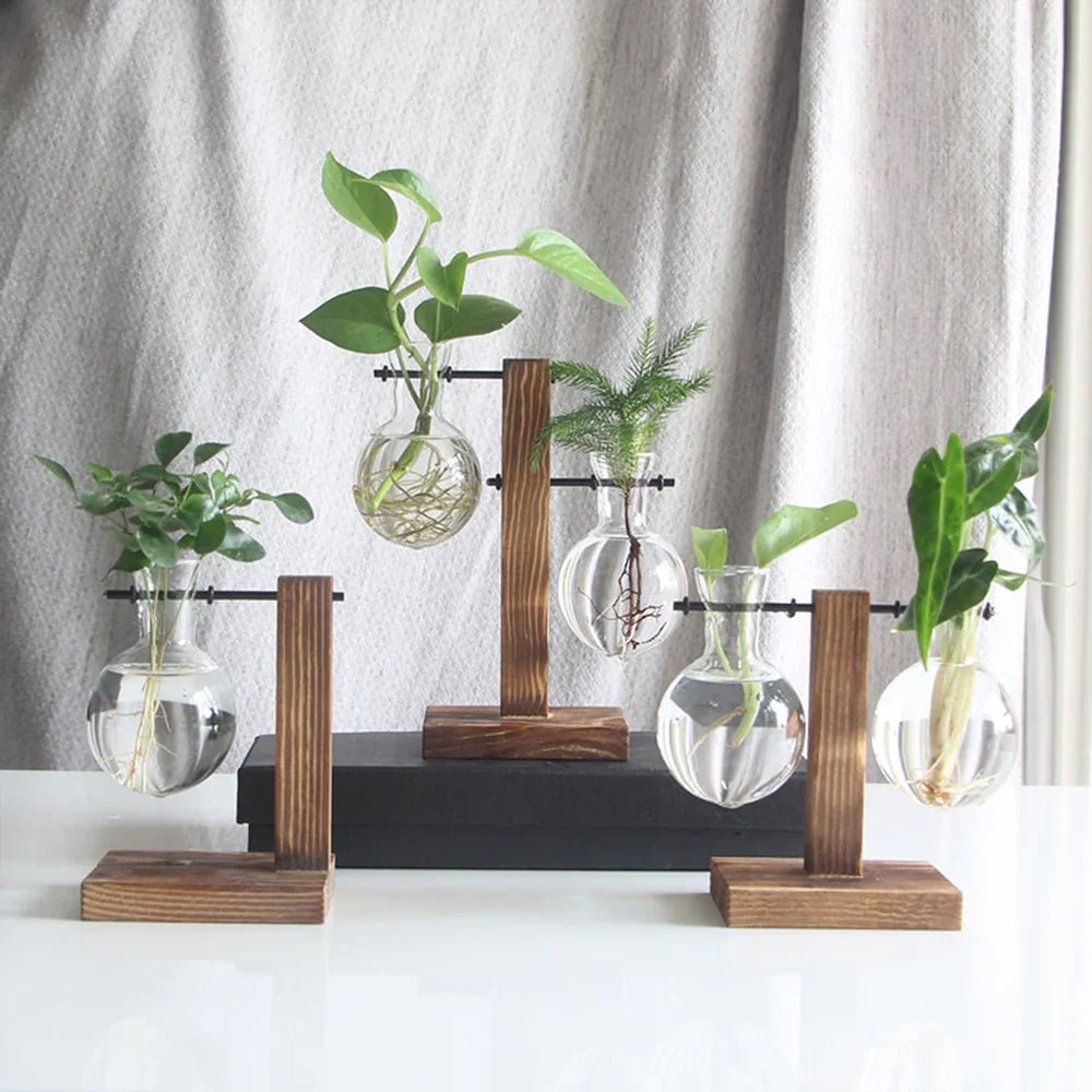 Hom & Ember – Glass Vase - Hom & Ember