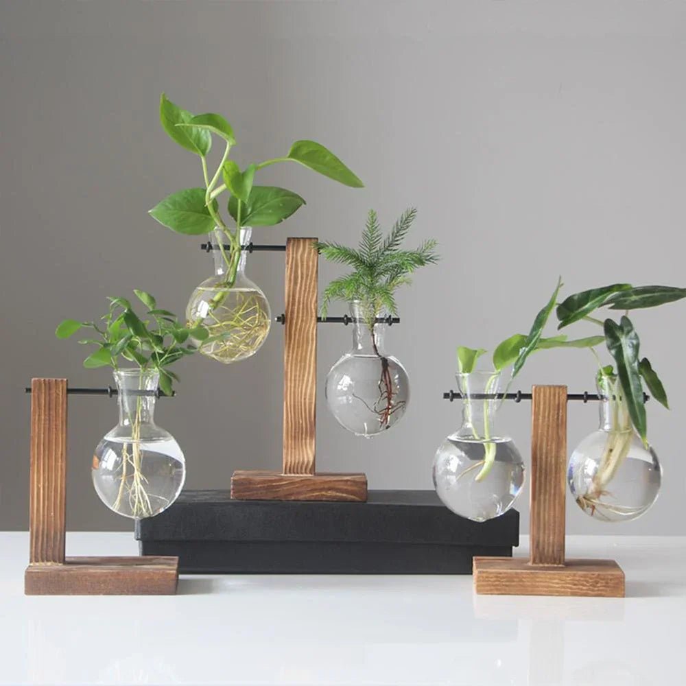 Hom & Ember – Glass Vase - Hom & Ember