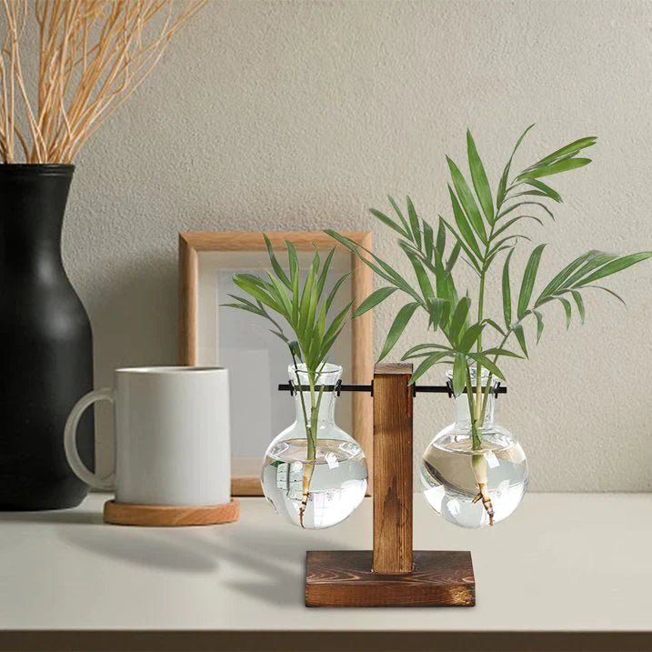 Hom & Ember – Glass Vase - Hom & Ember