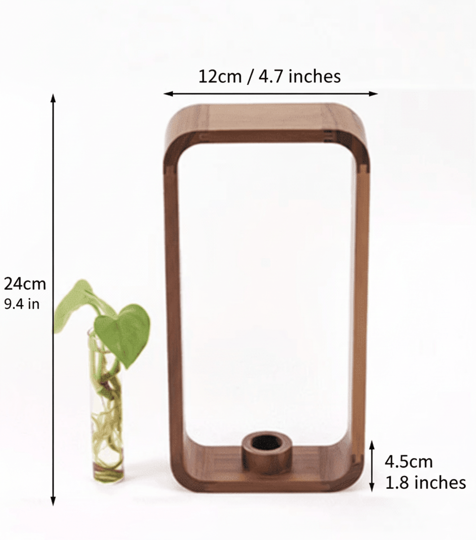 Hom & Ember – Hollow Plant Propagator for Creative Green Displays - Hom & Ember