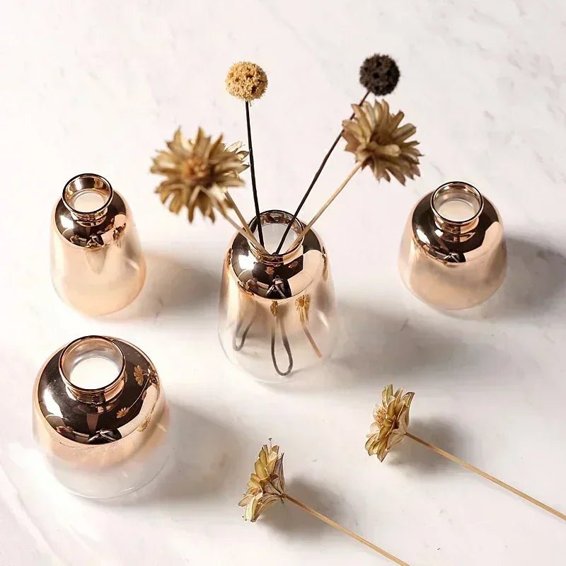 Hom & Ember – Ombre Vases for a Stylish Touch - Hom & Ember