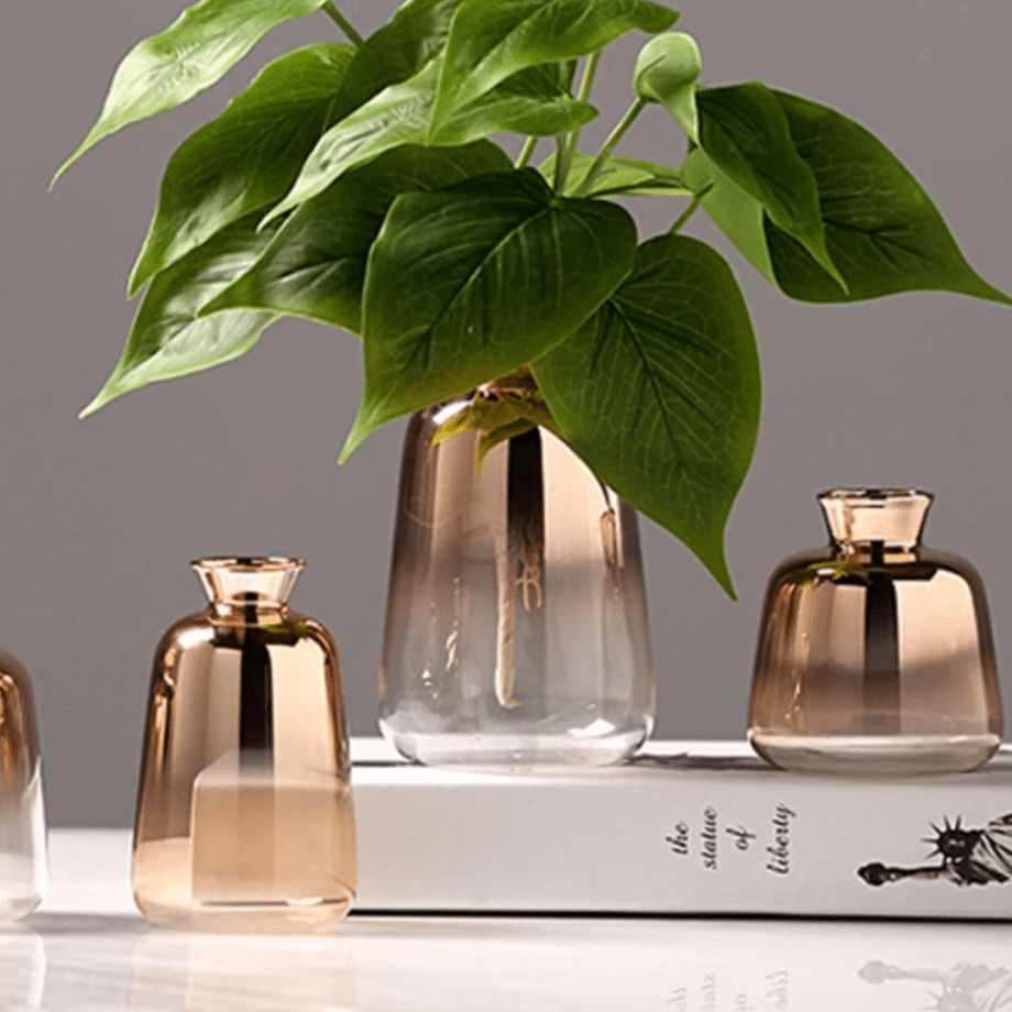 Hom & Ember – Ombre Vases for a Stylish Touch - Hom & Ember