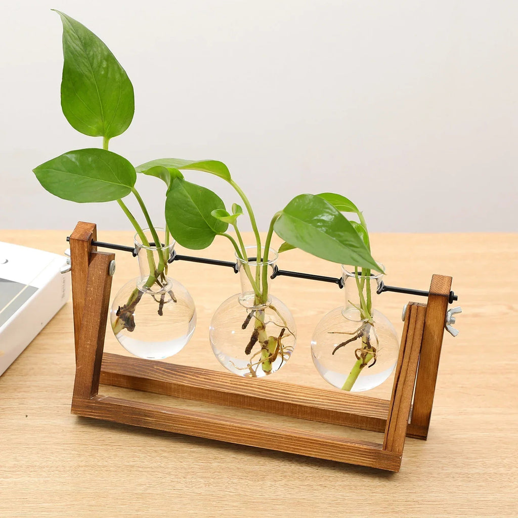 Hom & Ember – Plant Propagation Stand - Hom & Ember