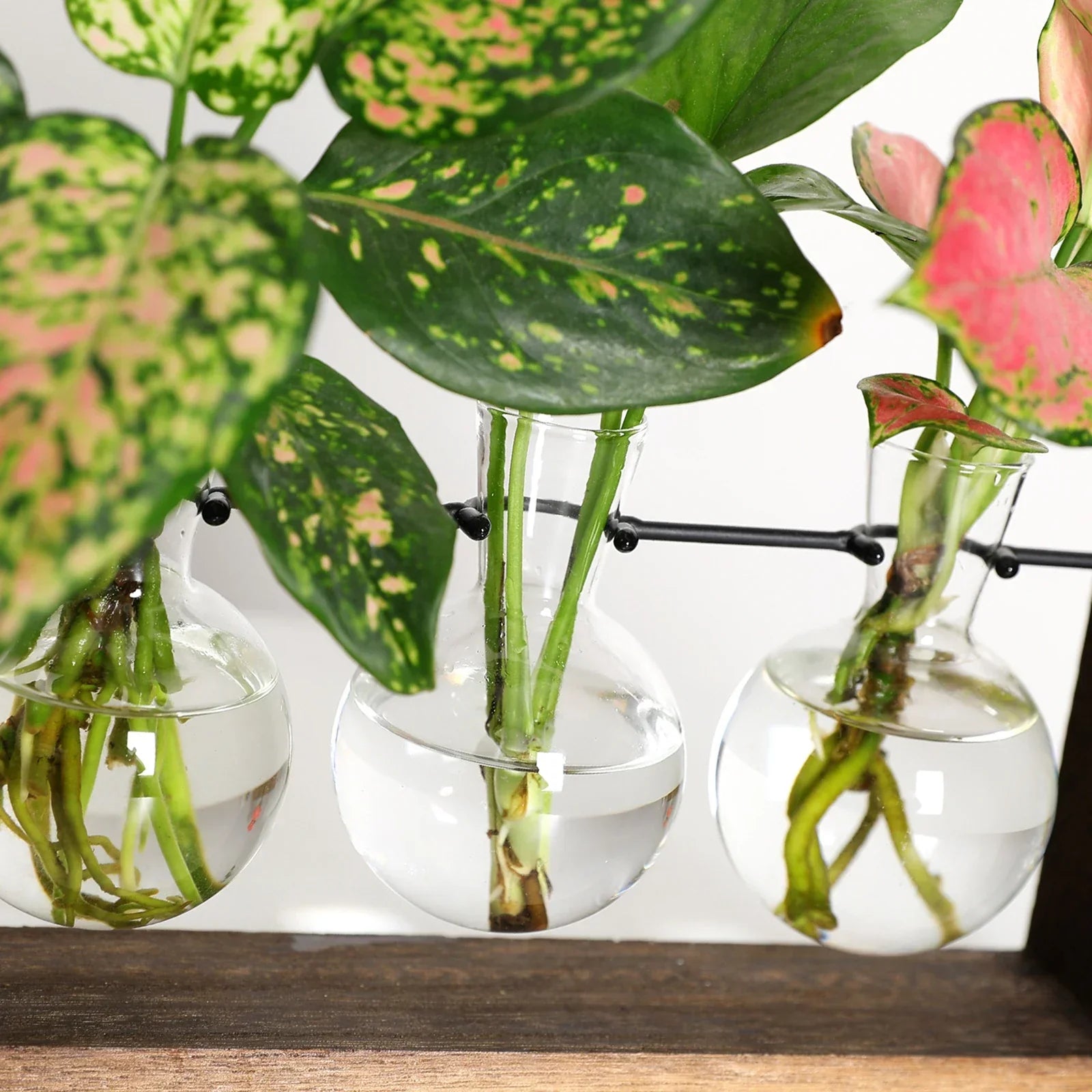 Hom & Ember – Plant Propagation Stand - Hom & Ember