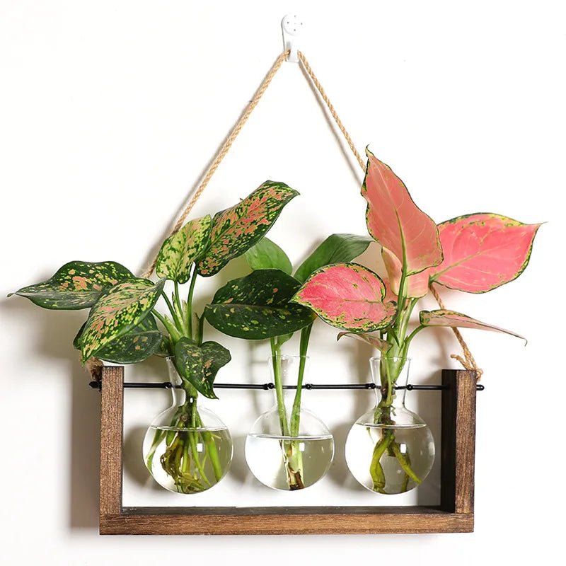Hom & Ember – Plant Propagation Stand - Hom & Ember