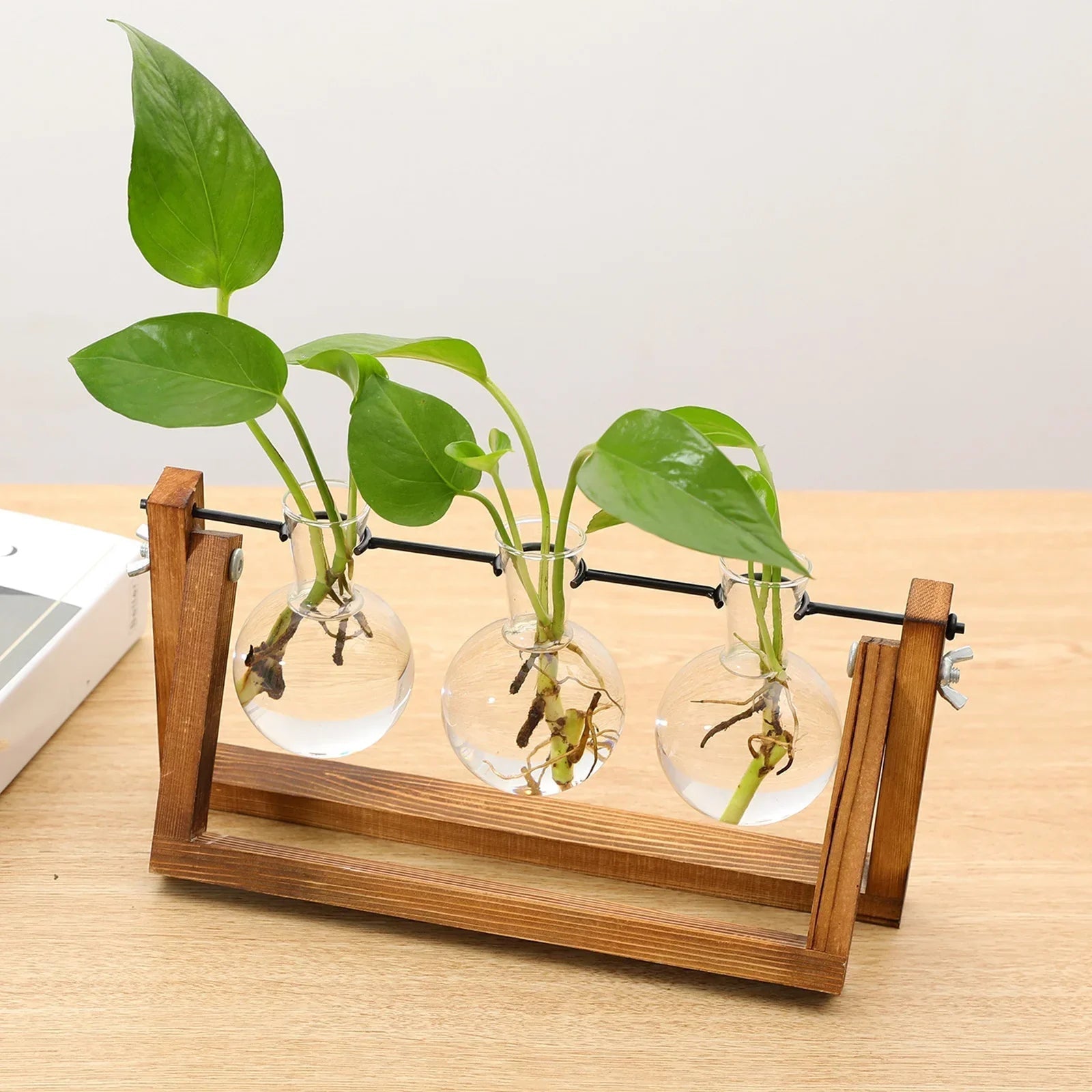 Hom & Ember – Plant Propagation Stand - Hom & Ember