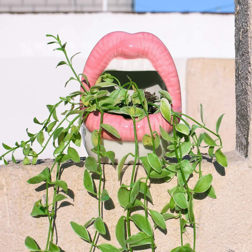 Hom & Ember – Stylish Ceramic Lip - Shaped Planter for Contemporary Spaces, Infusing Artistic Charm - Hom & Ember