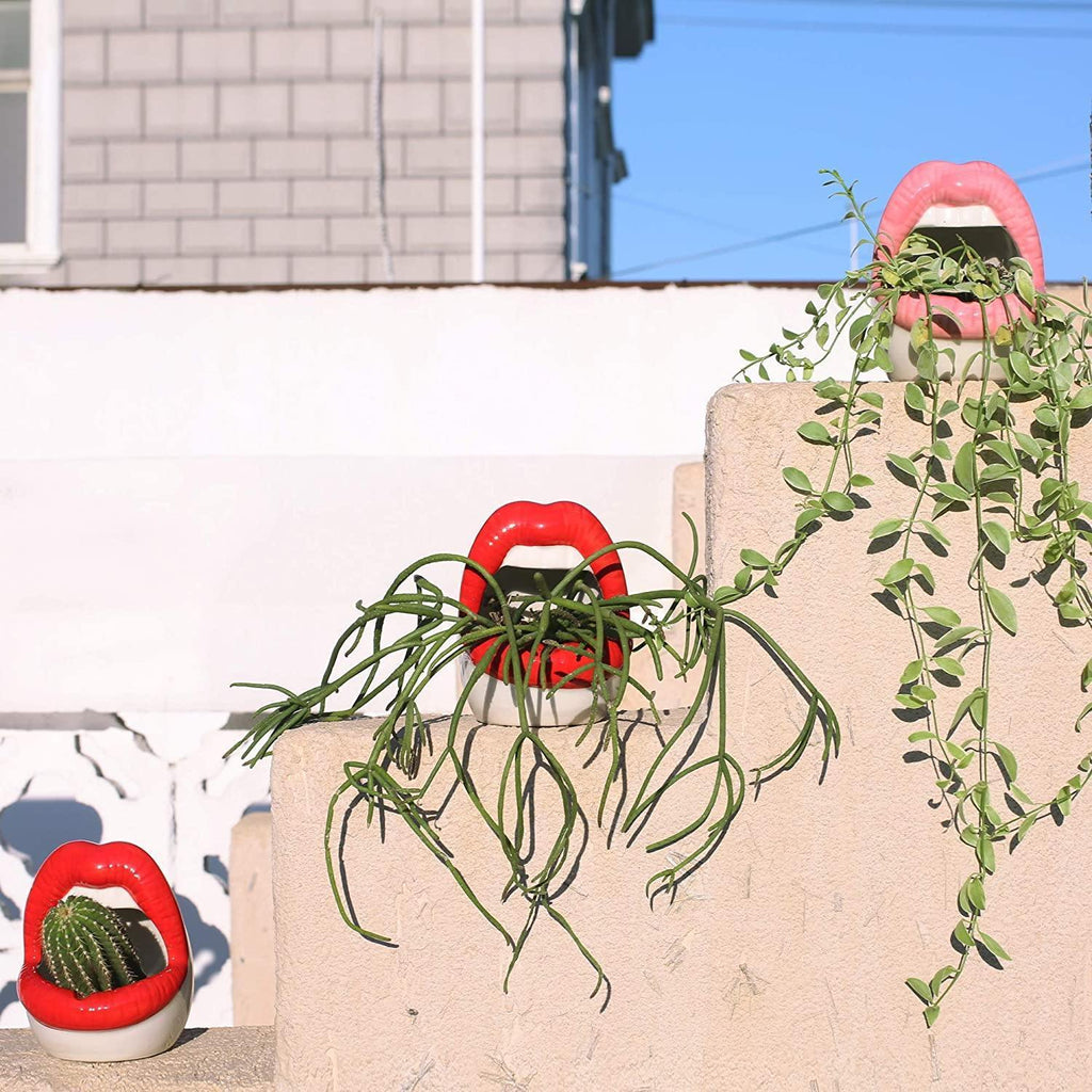 Hom & Ember – Stylish Ceramic Lip - Shaped Planter for Contemporary Spaces, Infusing Artistic Charm - Hom & Ember