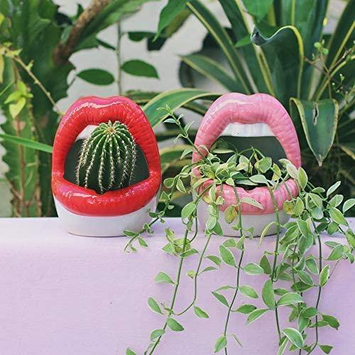 Hom & Ember – Stylish Ceramic Lip - Shaped Planter for Contemporary Spaces, Infusing Artistic Charm - Hom & Ember