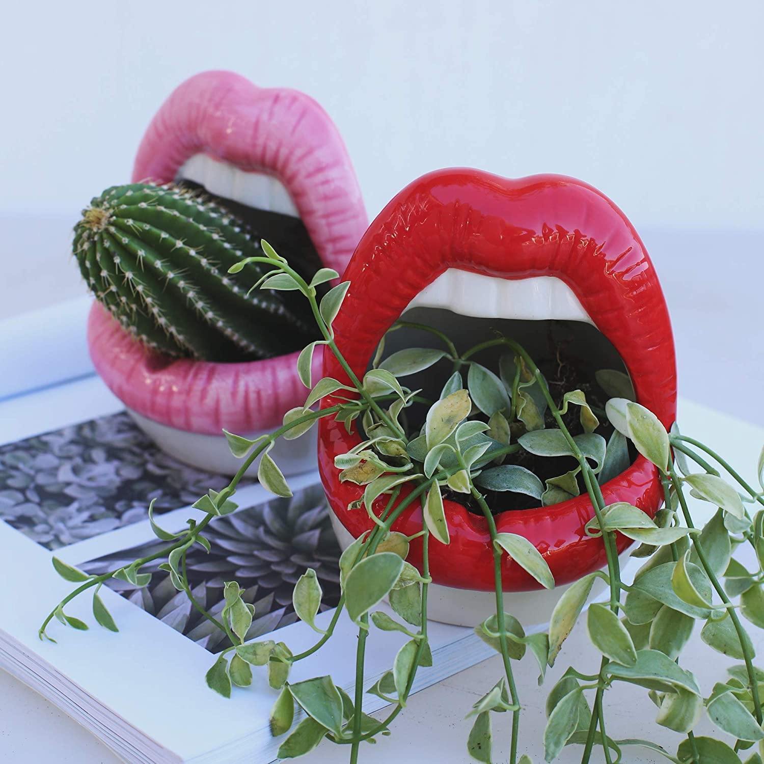 Hom & Ember – Stylish Ceramic Lip - Shaped Planter for Contemporary Spaces, Infusing Artistic Charm - Hom & Ember