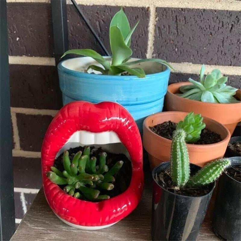 Hom & Ember – Stylish Ceramic Lip - Shaped Planter for Contemporary Spaces, Infusing Artistic Charm - Hom & Ember