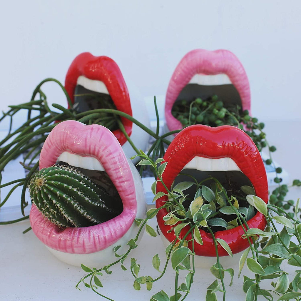 Hom & Ember – Stylish Ceramic Lip - Shaped Planter for Contemporary Spaces, Infusing Artistic Charm - Hom & Ember