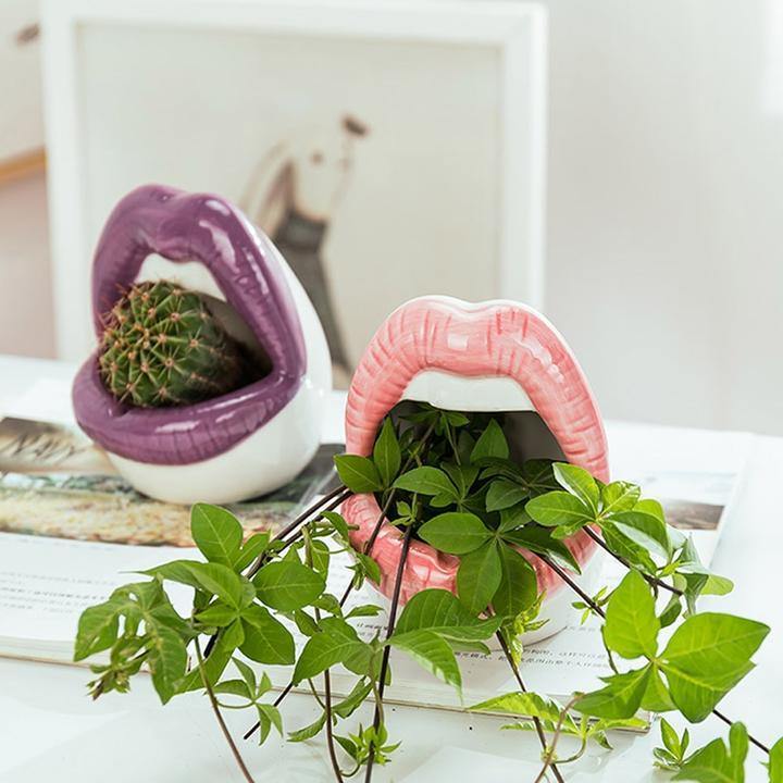 Hom & Ember – Stylish Ceramic Lip - Shaped Planter for Contemporary Spaces, Infusing Artistic Charm - Hom & Ember