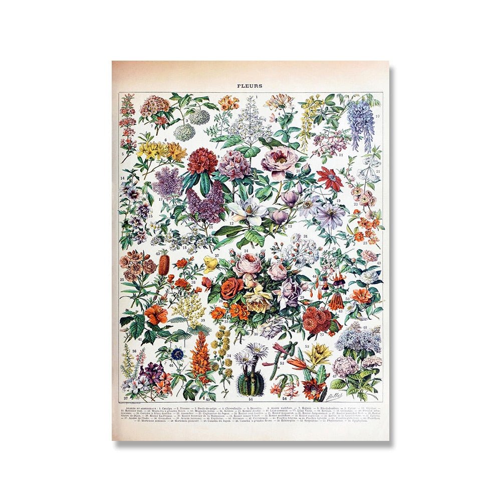 Hom & Ember – Vintage Botanical Prints Collection - Hom & Ember