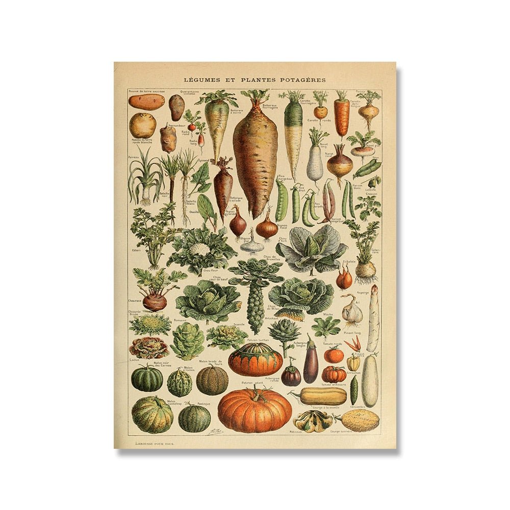 Hom & Ember – Vintage Botanical Prints Collection - Hom & Ember