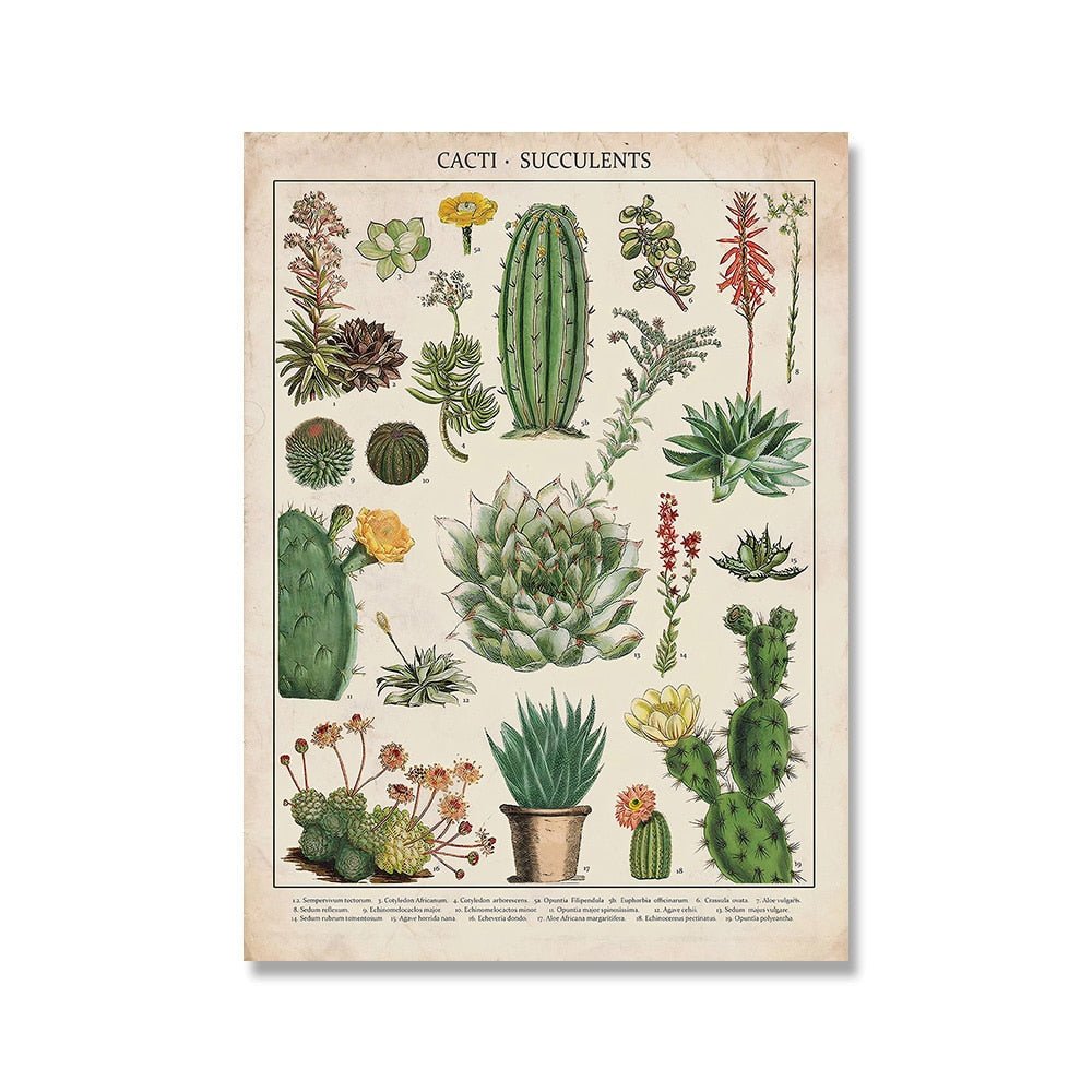 Hom & Ember – Vintage Botanical Prints Collection - Hom & Ember