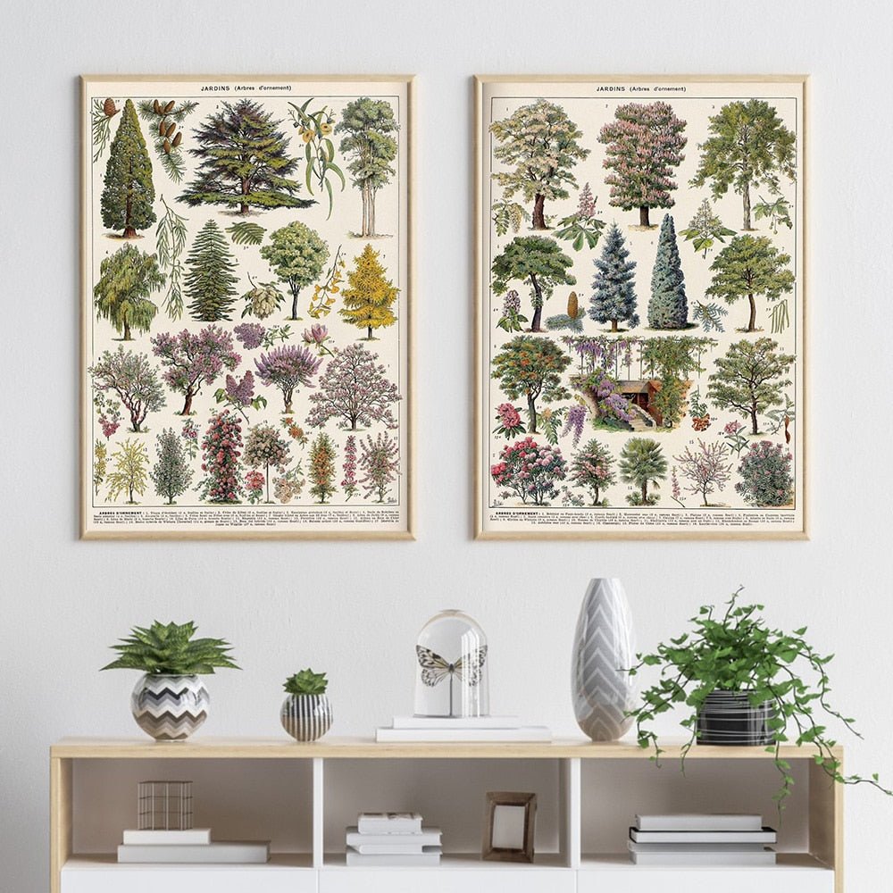 Hom & Ember – Vintage Botanical Prints Collection - Hom & Ember