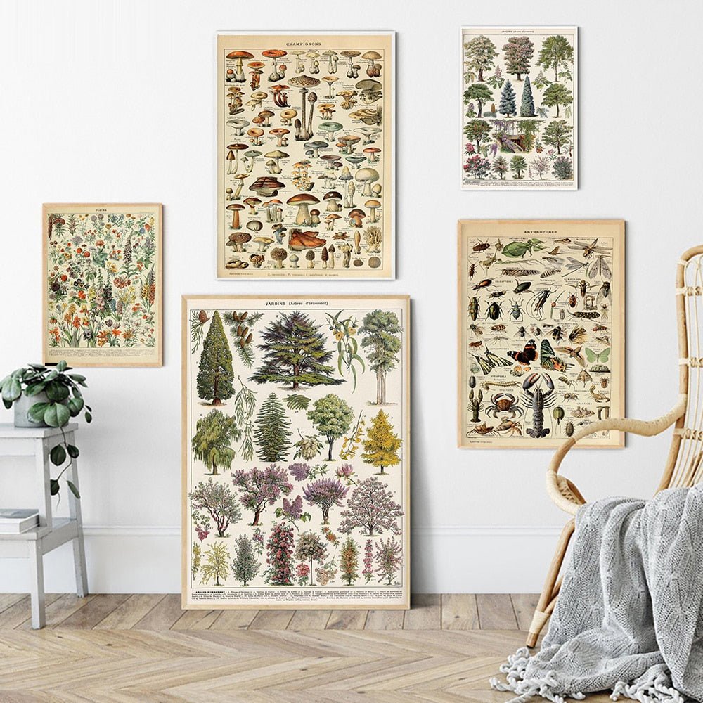 Hom & Ember – Vintage Botanical Prints Collection - Hom & Ember