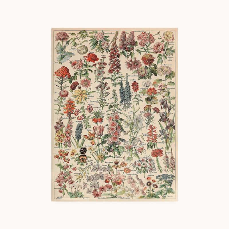 Hom & Ember – Vintage Botanical Prints Collection - Hom & Ember
