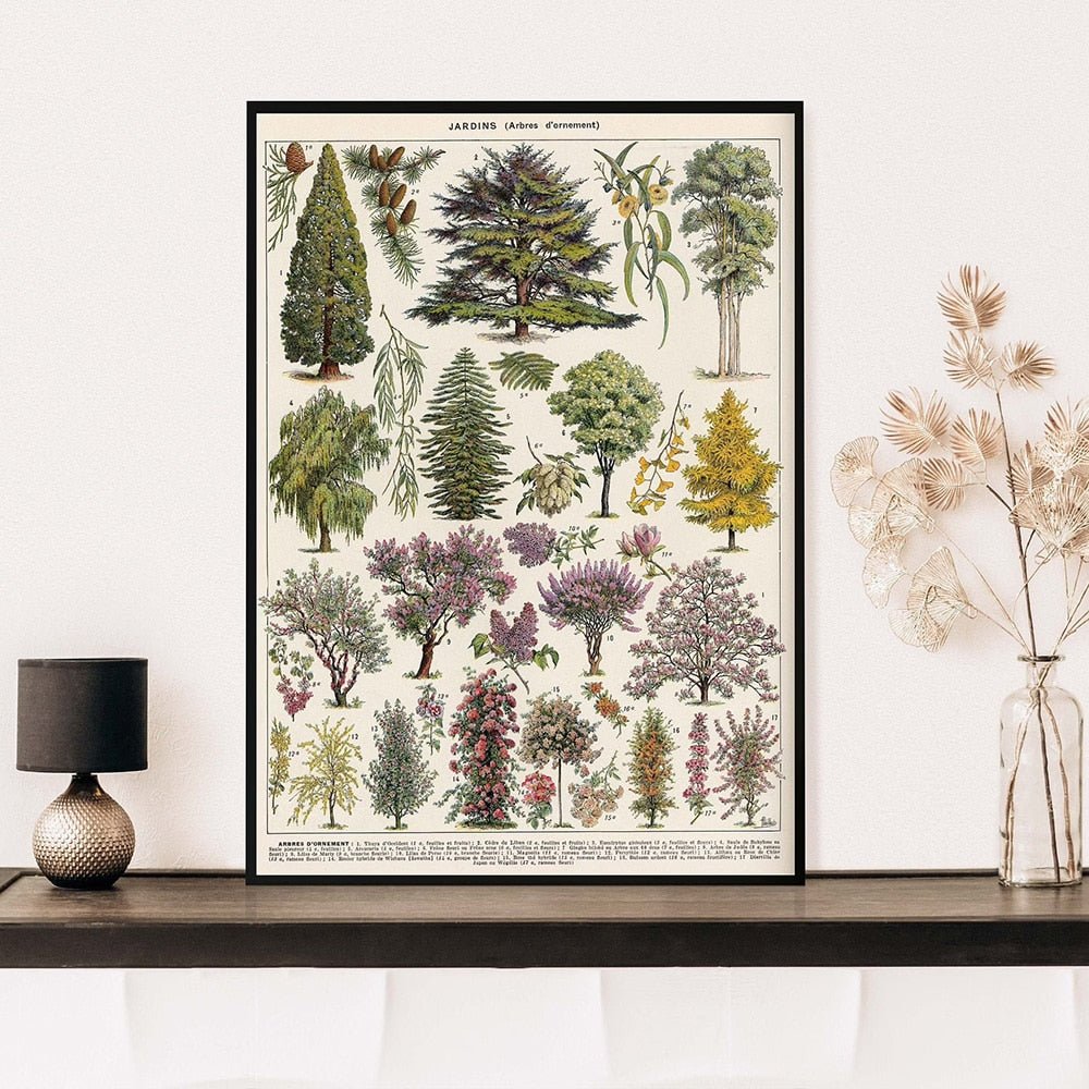 Hom & Ember – Vintage Botanical Prints Collection - Hom & Ember