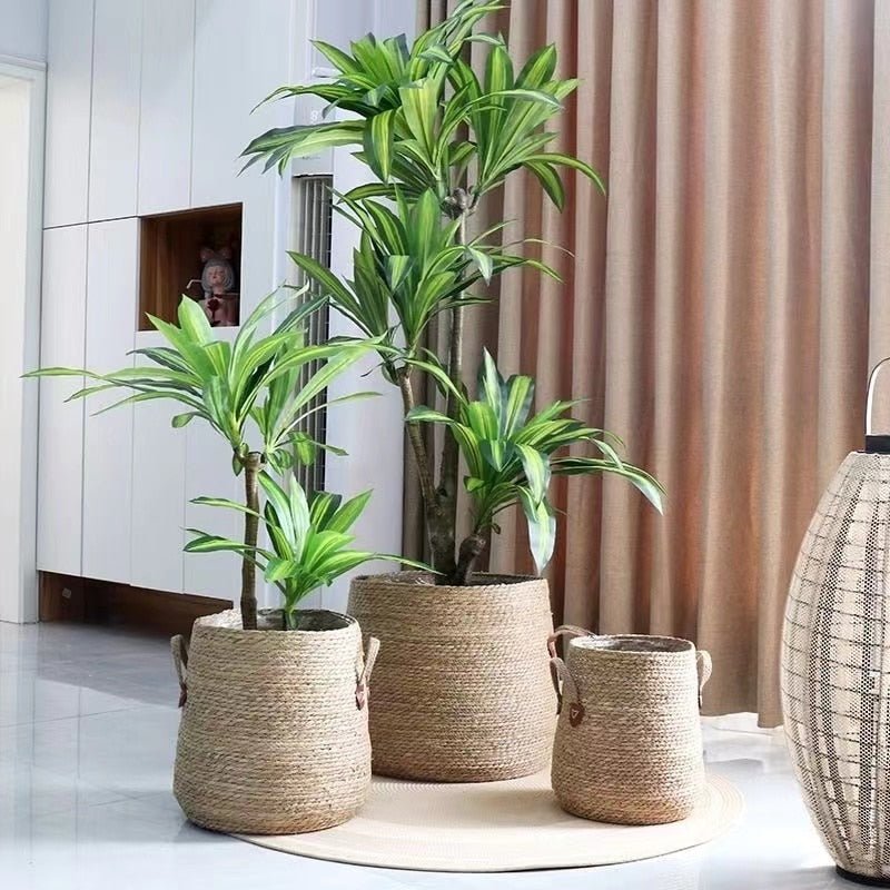 Hom & Ember – Wicker Planter Basket - Hom & Ember