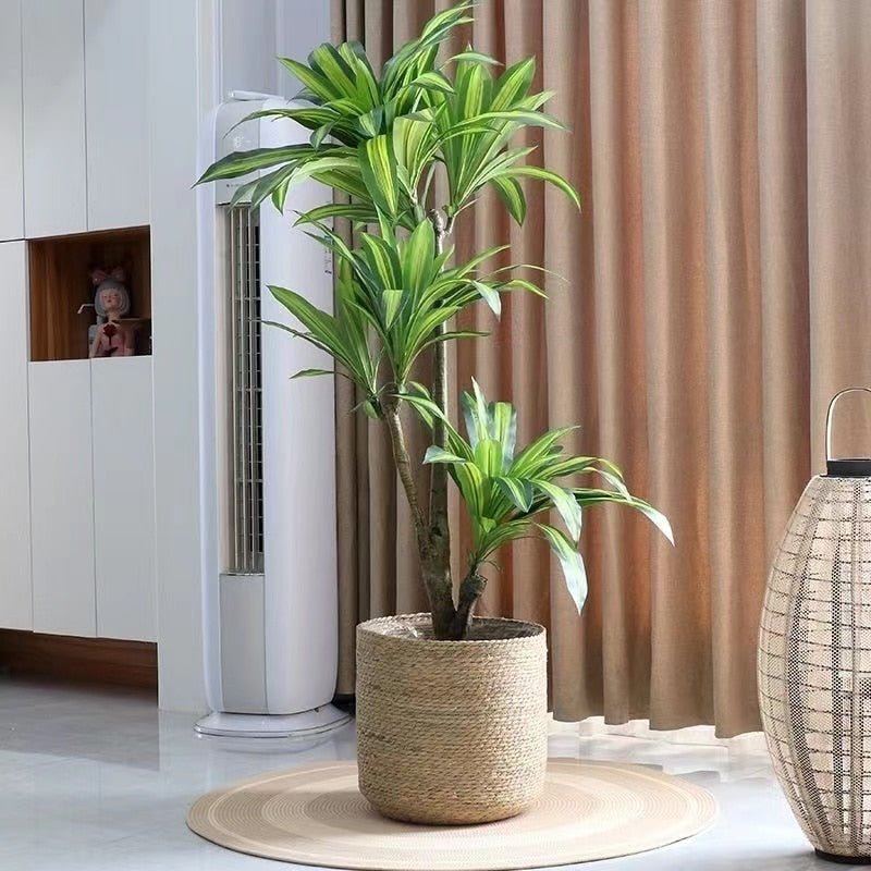 Hom & Ember – Wicker Planter Basket - Hom & Ember